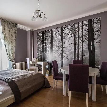 Main Square Sauna And Fireplace Appartement